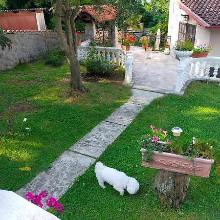 Apartment Casa Aurora Rijeka